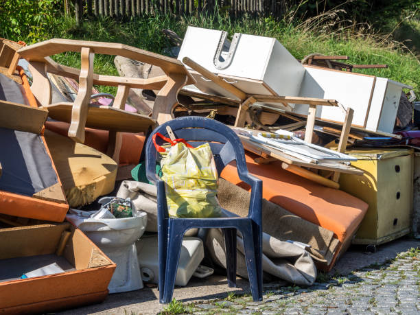 Attic Cleanout Services in Lady Lake, FL