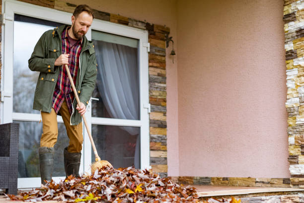 Basement Cleanout Services